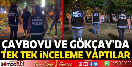 Çayboyu ve Gökçay'da tek tek denetim