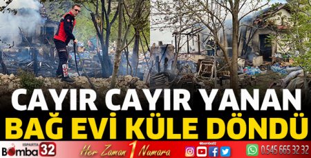 Cayır cayır yanan bağ evi küle döndü  