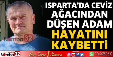 Ceviz ağacından düşen adam hayatını kaybetti