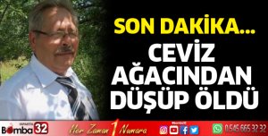 Ceviz ağacından düşüp öldü