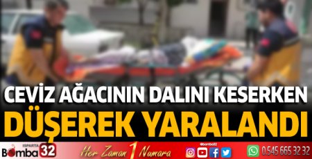 Ceviz ağacının dalını keserken düşerek yaralandı