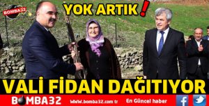 Ceviz Fidanı Dağıtımları Başladı