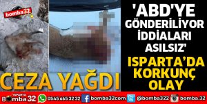 CEZA YAĞDI