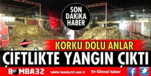 ÇİFTLİKTE YANGIN ÇIKTI