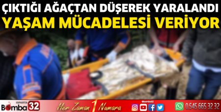 Çıktığı ağaçtan düşerek yaralandı 