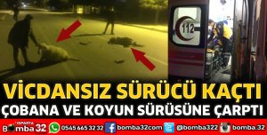 ÇOBANA VE KOYUN SÜRÜSÜNE ÇARPTI