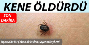 ÇOBANI  KENE  ÖLDÜRDÜ !