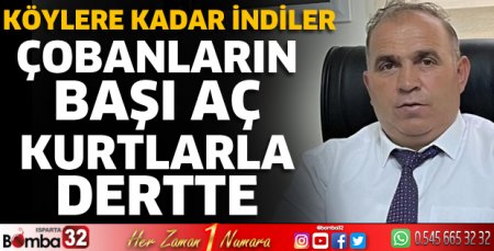 Çobanların başı aç kurtlarla dertte