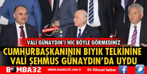 CUMHURBAŞKANININ BIYIK TELKİNİNE VALİ GÜNAYDIN'DA UYDU