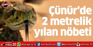 ÇÜNÜRDE 2 METRELİK YILAN NÖBETİ