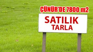 ÇÜNÜR'DE 7800 m2 SATILIK ARAZİ