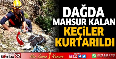 Dağda mahsur kalan keçiler kurtarıldı