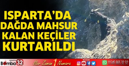 Dağda mahsur kalan keçiler kurtarıldı