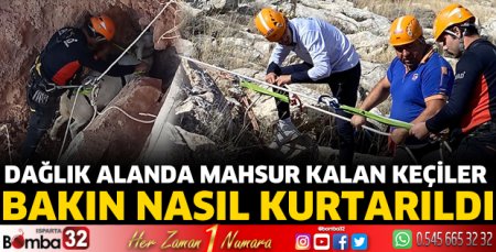 Dağlık alanda mahsur kalan keçiler bakın nasıl kurtarıldı