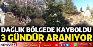 Dağlık bölgede kaybolan Mehmet Dereli aranıyor