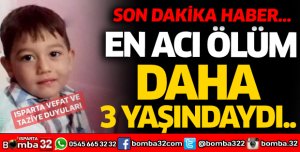 Daha 3 yaşındaydı... En acı ölüm