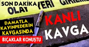 DAMATLA KAYINPEDERİN KAVGASINDA BIÇAKLAR KONUŞTU
