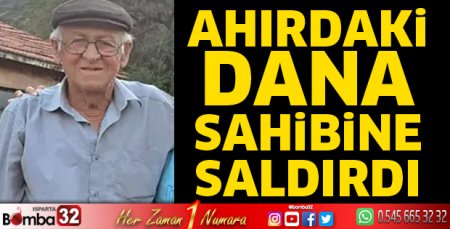 Dana sahibine saldırdı