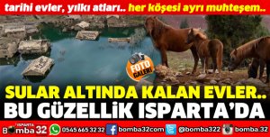 DARIBÜKÜ KÖYÜ'NDE SULAR ALTINDA KALAN EVLER SEYİRLİK GÖRÜNTÜ OLUŞTURUYOR