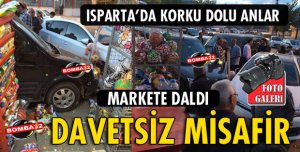 DAVETSİZ MİSAFİR MARKETE DALDI
