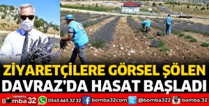 DAVRAZ’DA HASAT BAŞLADI