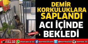 DEMİR KORKULUKLARA SAPLANAN KEDİ KURTARILDI