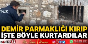 Demir parmaklığı kırıp kurtardılar