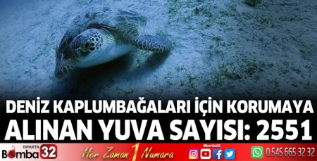 Deniz kaplumbağaları için korumaya alınan yuva sayısı: 2551