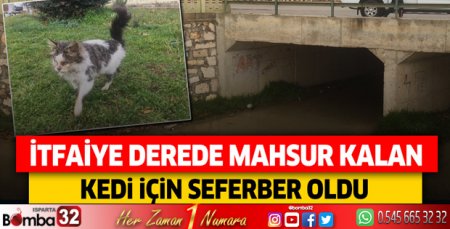 Derede mahsur kalan kedi için Bucak İtfaiyesi seferber oldu