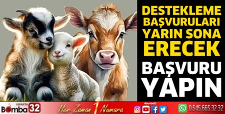 Destekleme başvuruları sona eriyor