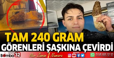 Dev kuzugöbeği mantarı ilgi odağı oldu