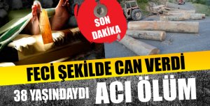 Dev Tomrukların Altında Can Verdi