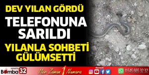 Dev yılanı görünce telefonuna sarıldı