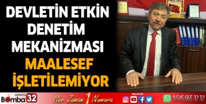Devletin Etkin Denetim Mekanizması Maalesef İşletilemiyor