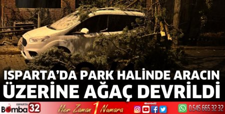 Devrilen ağaç aracın üzerine düştü 