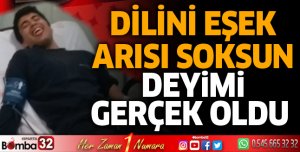 Dilini eşek arısı soktu