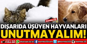 DIŞARIDA ÜŞÜYEN HAYVANLARI UNUTMAYALIM