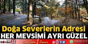 Doğaseverlerin adresi