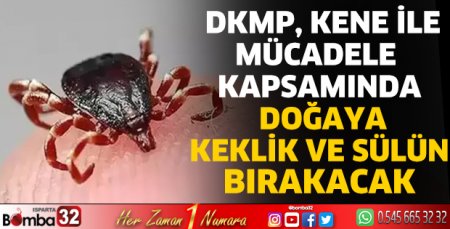 Doğaya keklik ve sülün bırakılacak