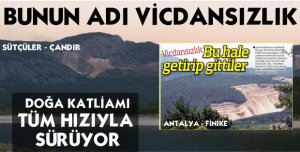 DOĞAYI KEL BIRAKTILAR
