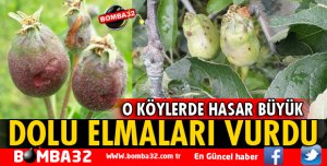 DOLU ELMAYI VURDU