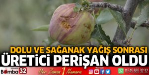 Dolu yağışı elma bahçelerini vurdu