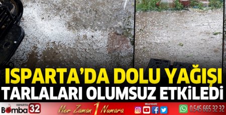 Dolu yağışı tarlaları olumsuz etkiledi
