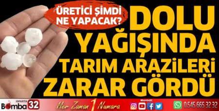 Dolu yağışında tarım arazileri zarar gördü