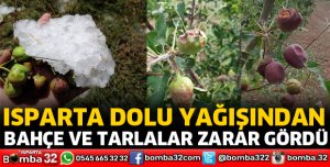 Doludan bahçe ve tarlalar hasar gördü