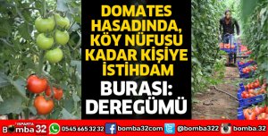 DOMATES HASADINDA, KÖY NÜFUSU KADAR KİŞİYE İSTİHDAM