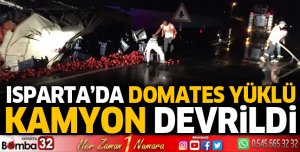 Domates yüklü kamyon devrildi
