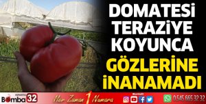 Domatesi teraziye koyunca gözlerine inanamadı