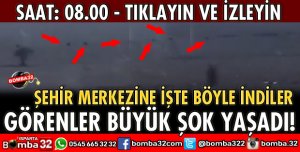 DOMUZ SÜRÜSÜ KENT MERKEZİNE BÖYLE İNDİ
