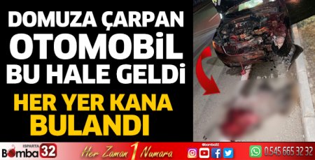 Domuza çarpan otomobil bu hale geldi